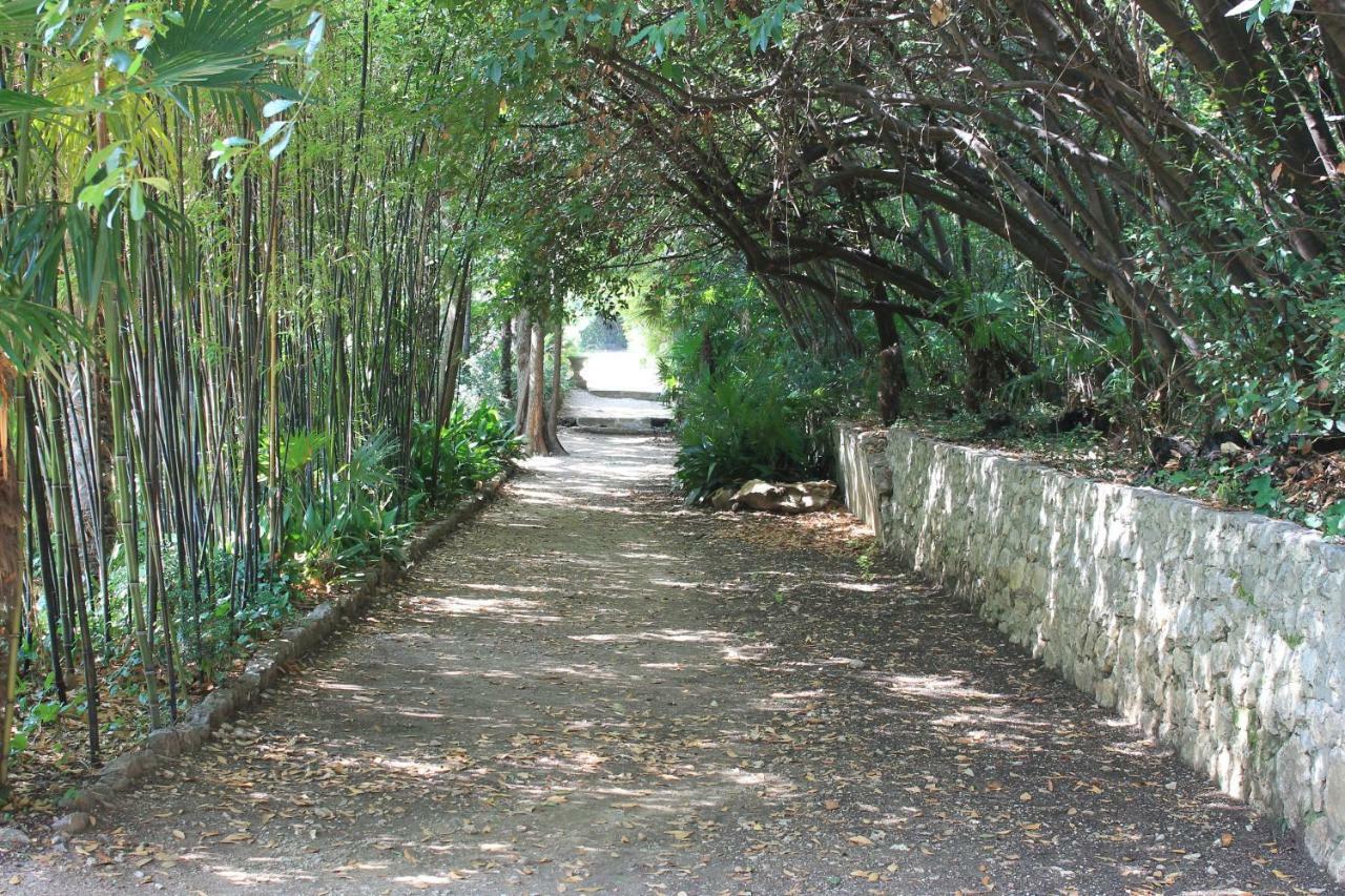 Apartments Platana Trsteno Exterior photo